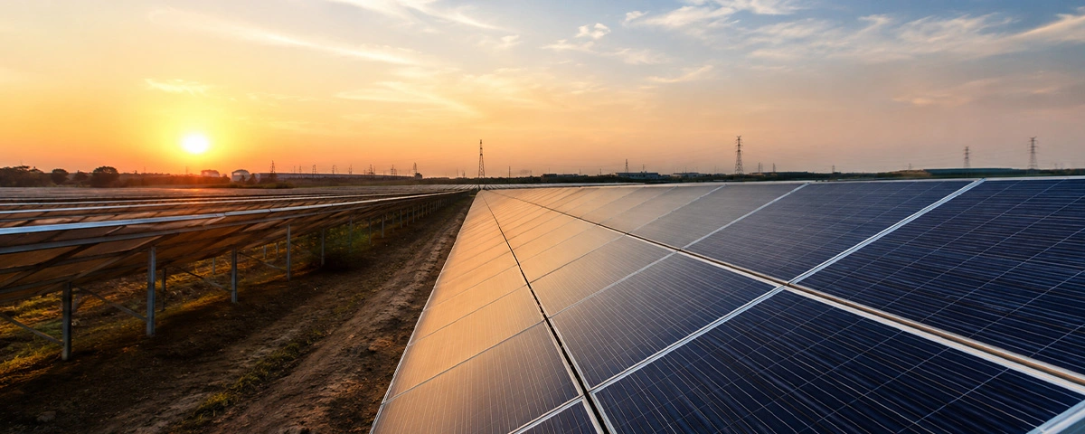 Utility-scale solar farm with premium mounting structures during sunset in India