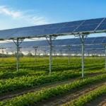 Agrivoltaic solar mounting structures installed above farmland in India, featuring elevated ground mount solar panels with agricultural activity beneath for PM-KUSUM 2.0 projects.